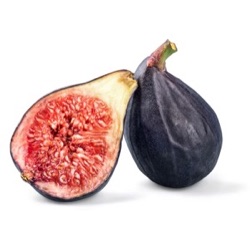 Ficus carica 'Melanzana'